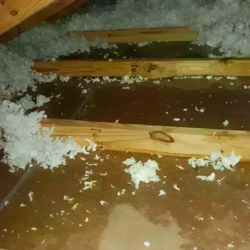 Attic Water Damage in Contra Costa County, CA