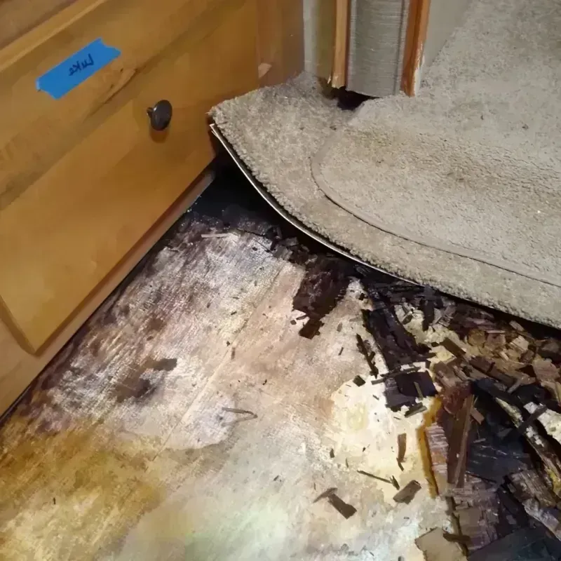 Wood Floor Water Damage in Contra Costa County, CA